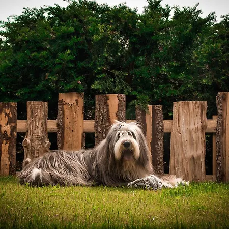 Wickie